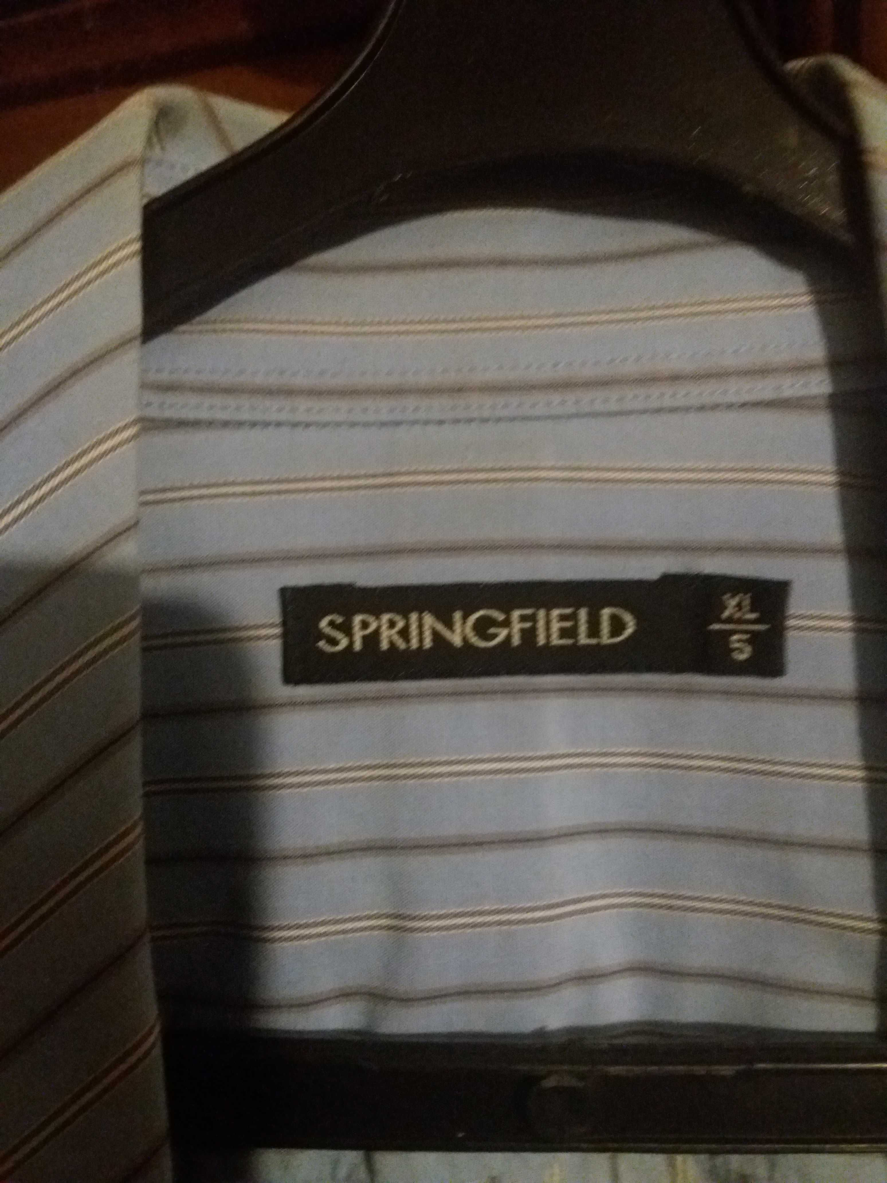 Camisa azul às riscas. Springfield