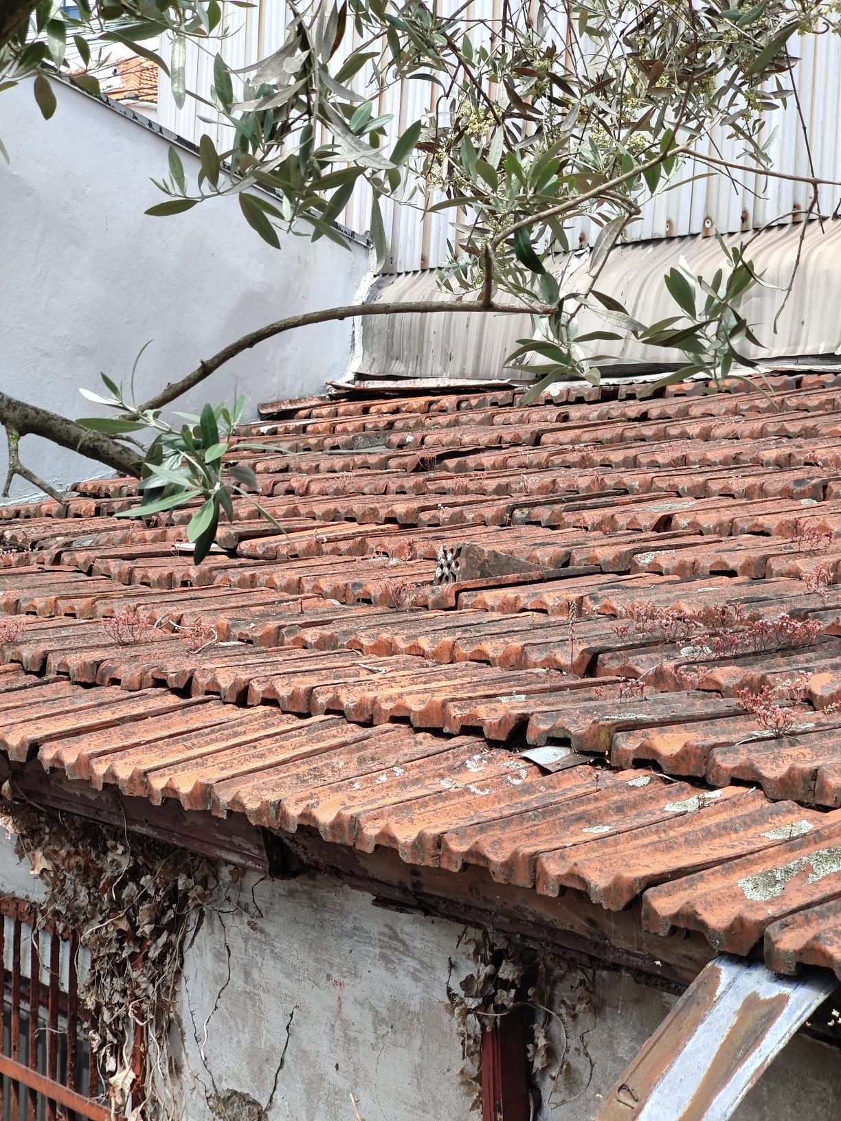 Telhas usadas baratas