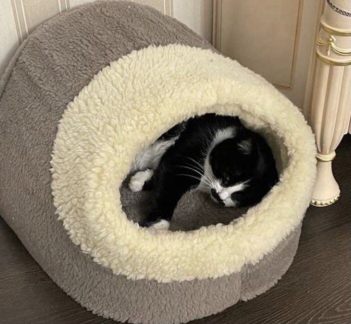 Теплий хутряний будиночок хатинка лежанка для собачки котика 2 розміри