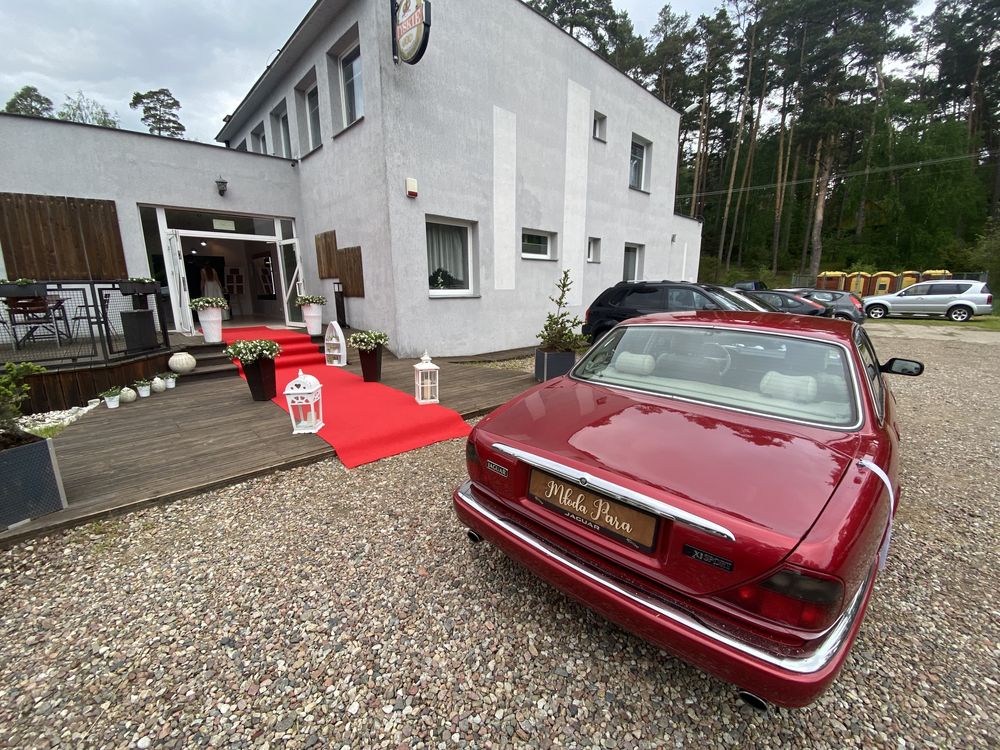 Auto samochód do ślubu - piekny klasyk Jaguar XJ