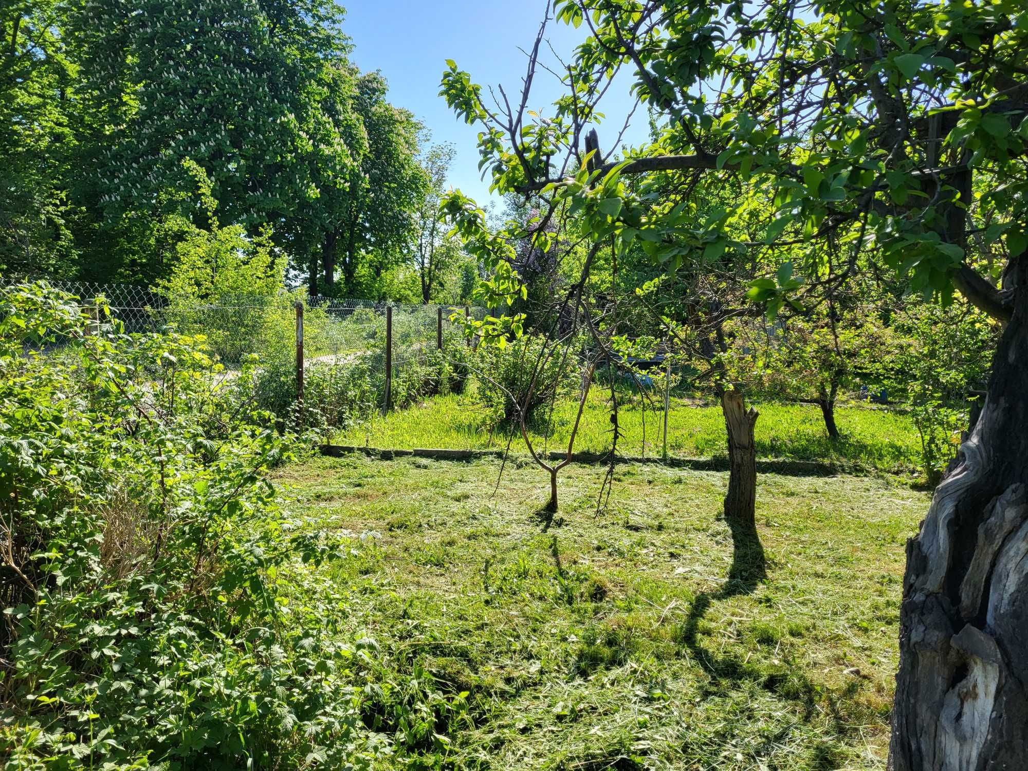 Odstąpię Działkę RODO, Działka Rekreacyjna ,Świdnica 3,6a