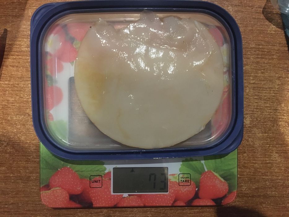 Kombucha grzyb herbaciany starter instrukcja