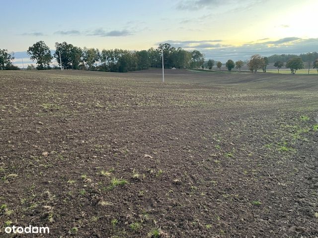 Grunty rolne, działka rolna 35 ha , Mażany Kętrzyn