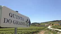 Terreno para construcao para venda no Gradil