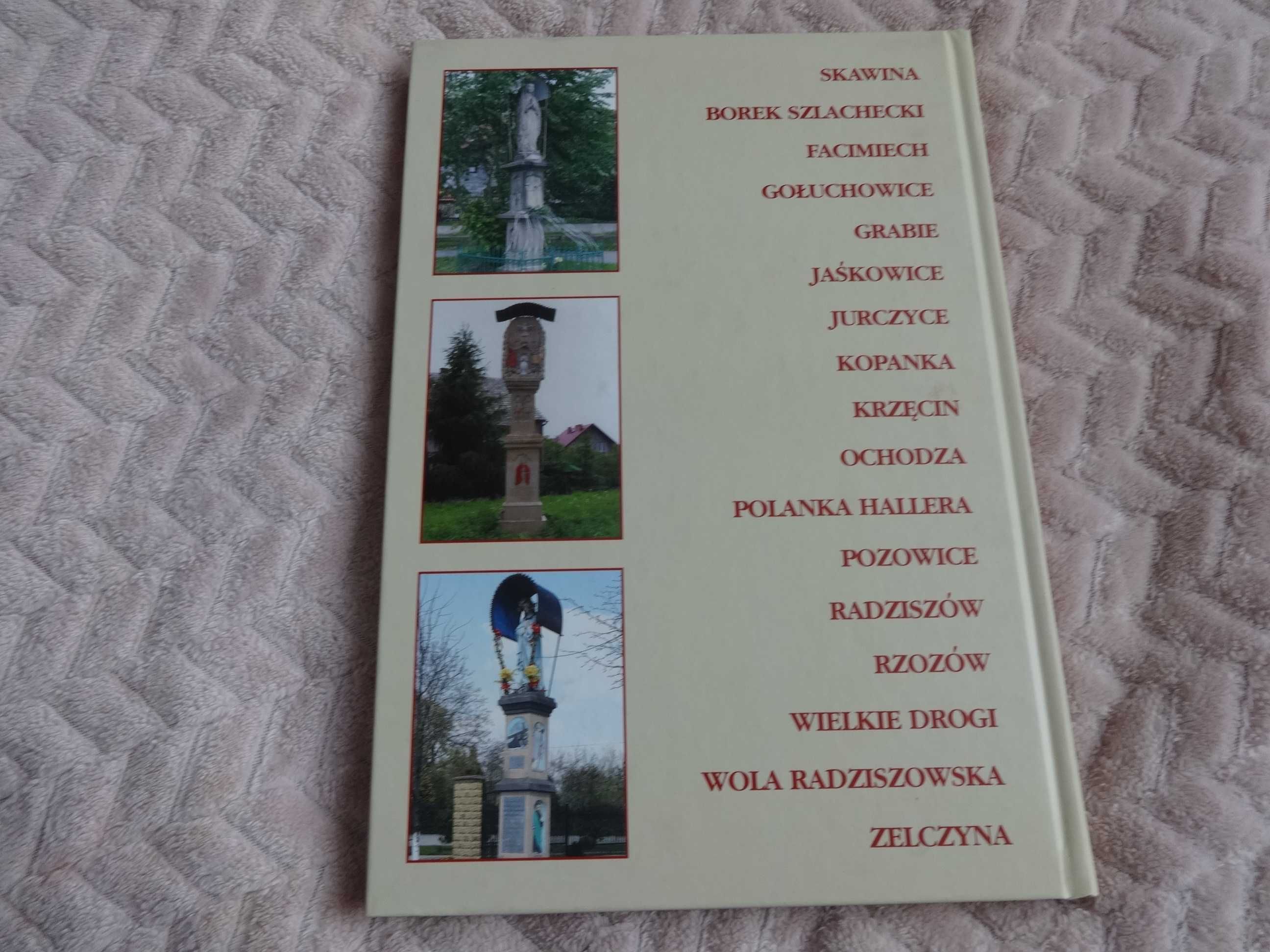 Kapliczki, figury i krzyże przydrożne w Gminie Skawina. Album