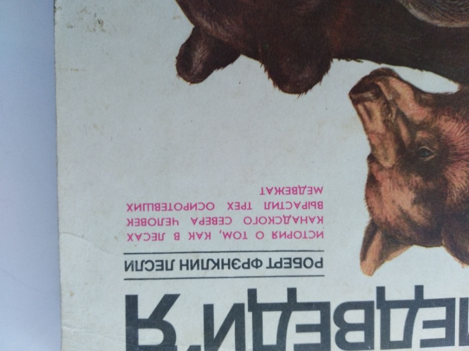 книга "Медведия" северо-американский вариант "Рожденная свободой"