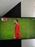 Telewizor LG LJ594V