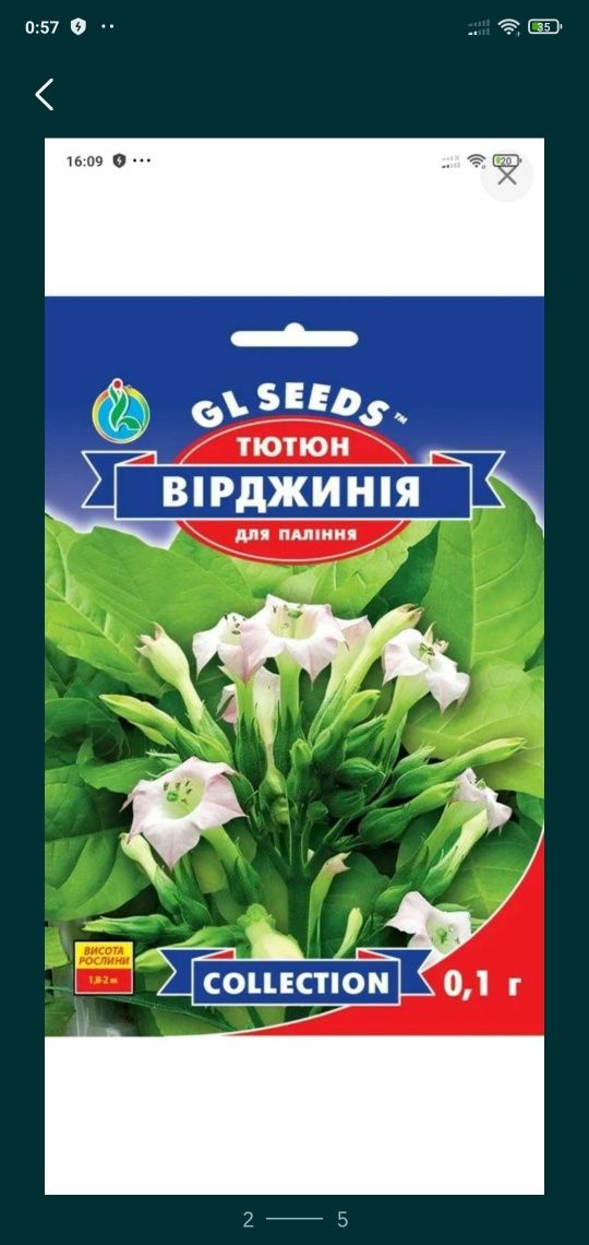 Ссемена тютюну.Сорт Вирджиния