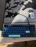 клавіатуру HyperX Alloy FPS Pro