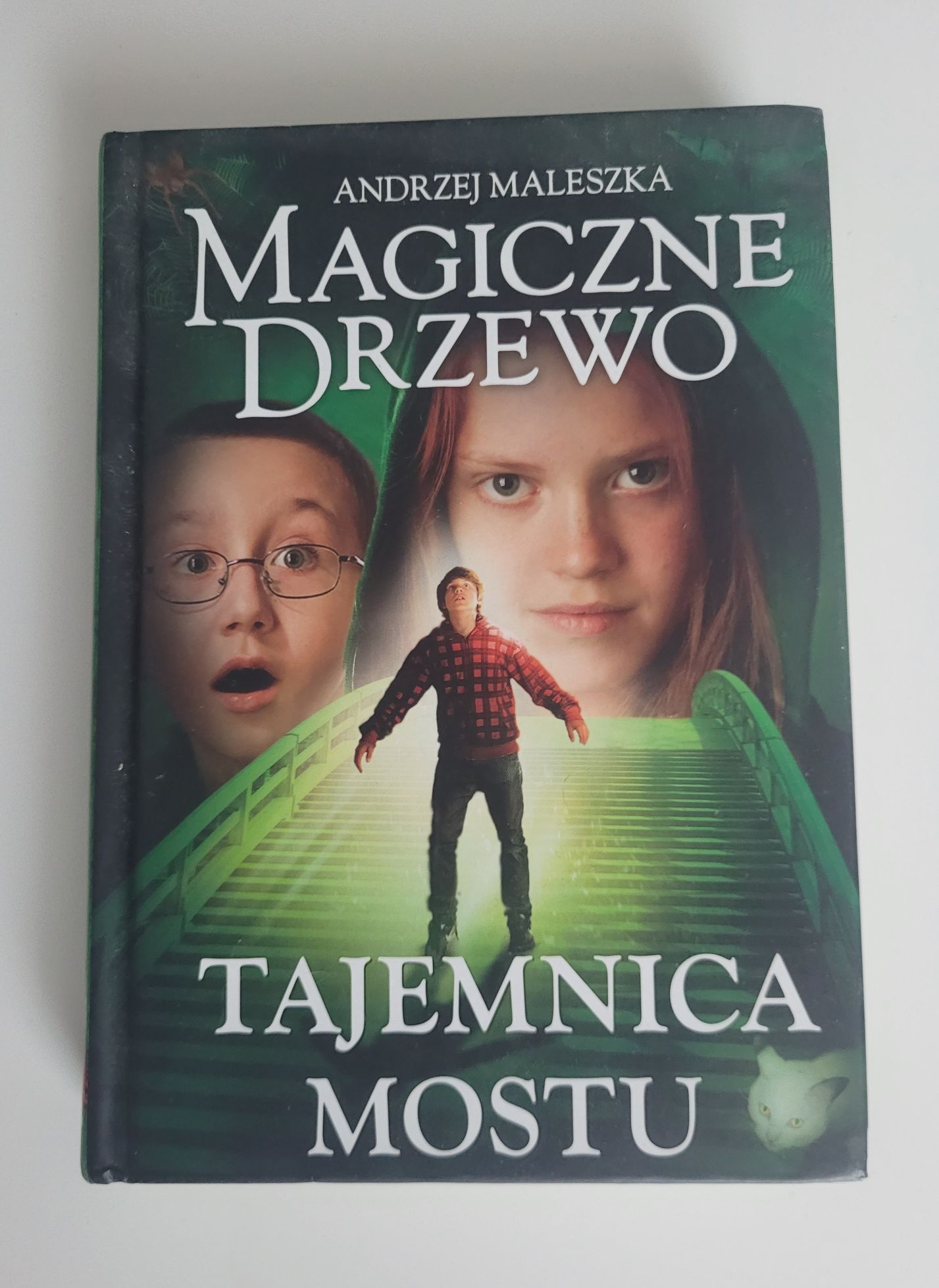 Magiczne drzewo. Tajemnica mostu - Andrzej Maleszka