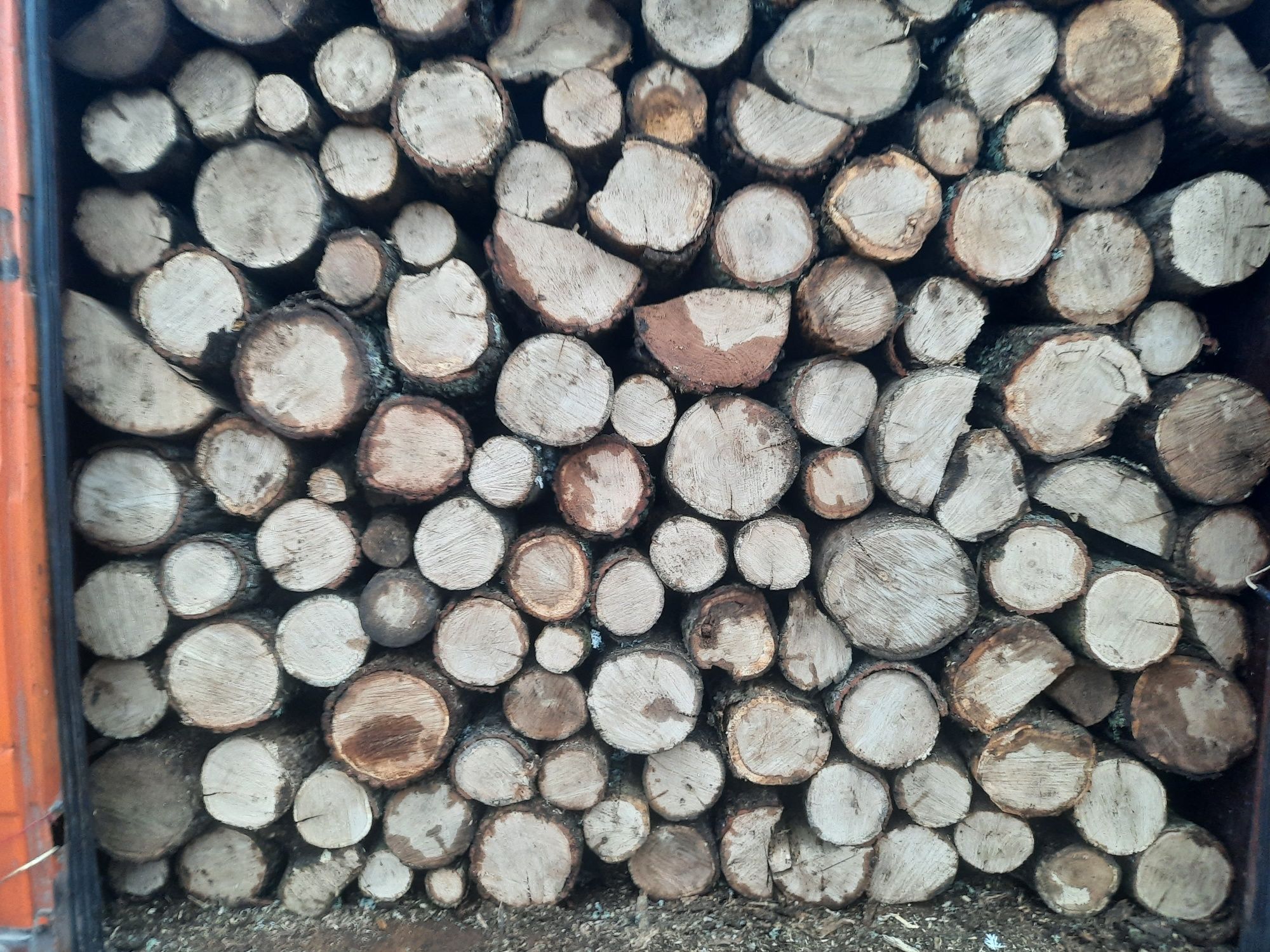 Дрова твердих порід деревини.