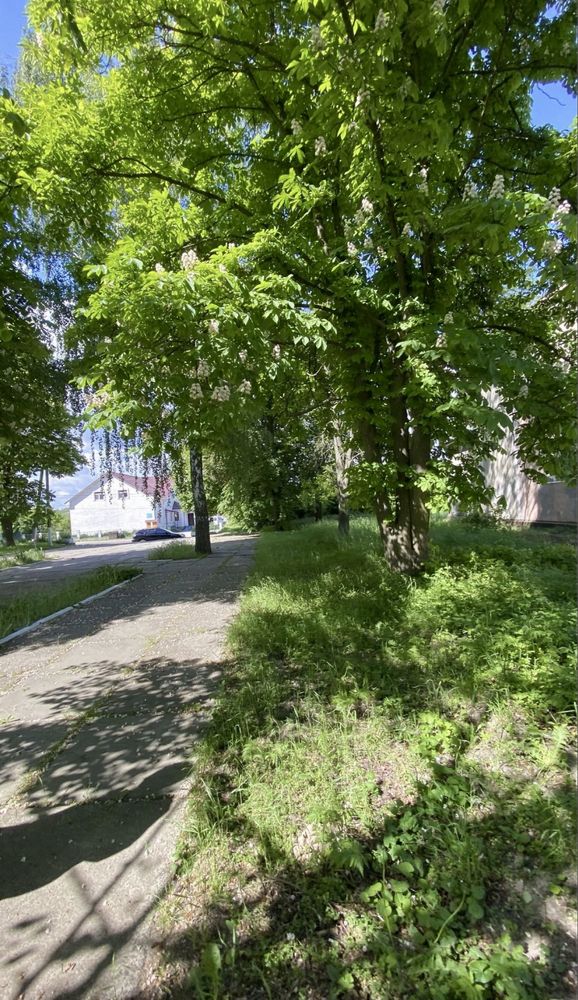Комерція Інвестоб’єкт у центрі Ржищева: 460 м² + 26 соток,