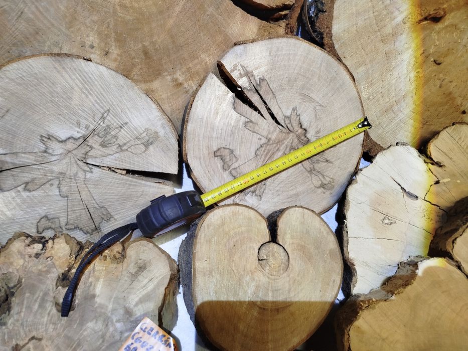 Plastry z drewna (Grab,Cis,Śliwa Węgierka, Czereśnia,Jesion,Buk,Brzoza