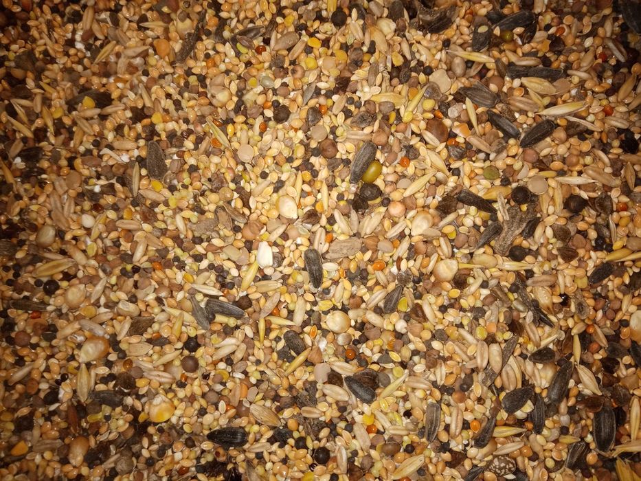 Karma dla gołębi mieszanka drobnych ziaren 25kg