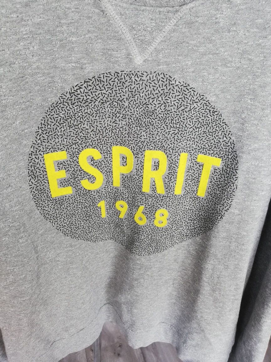 Esprit R. XL męska szara bluza bez kaptura