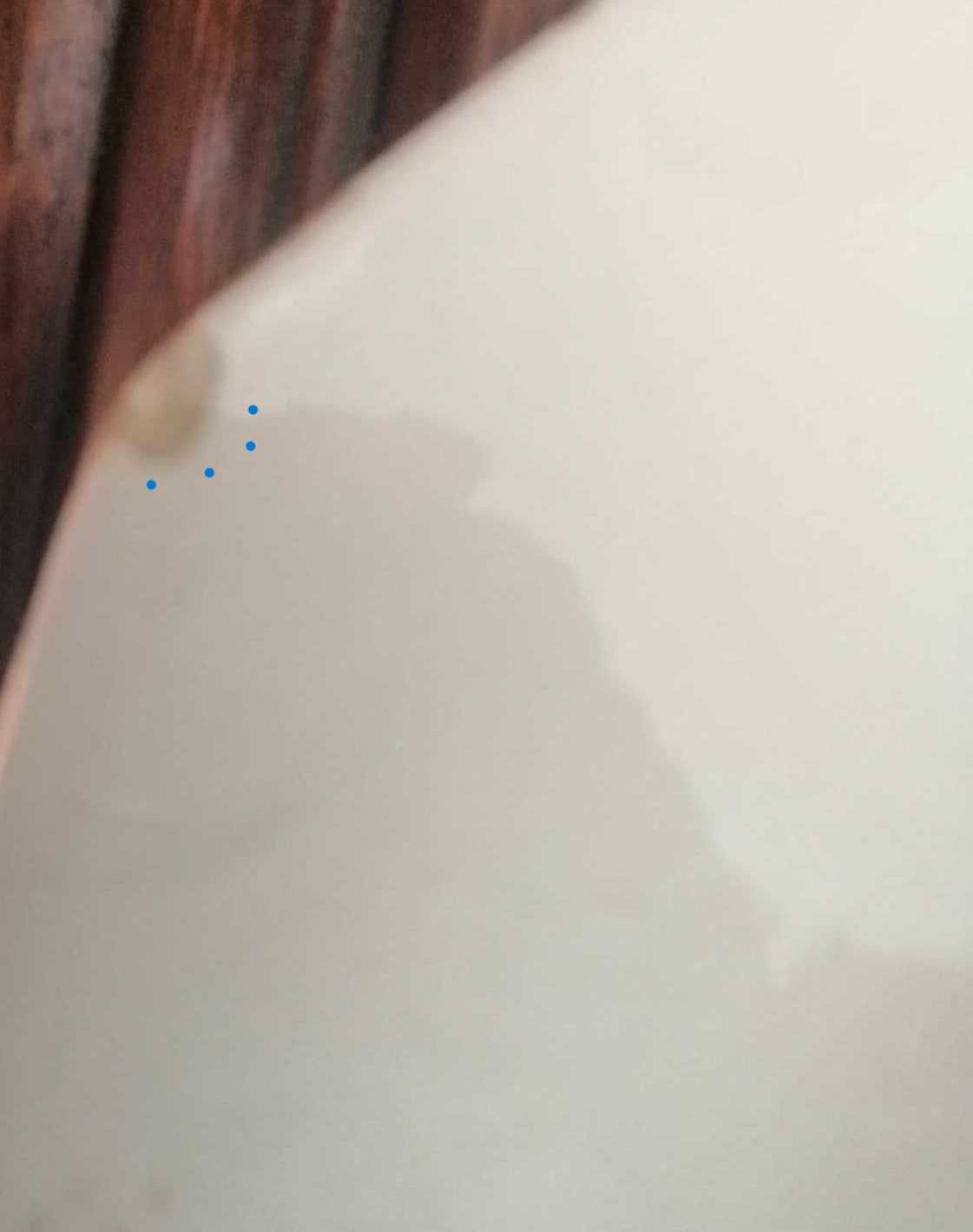 Antiga travessa oitavada faiança portuguesa, pintada à mão