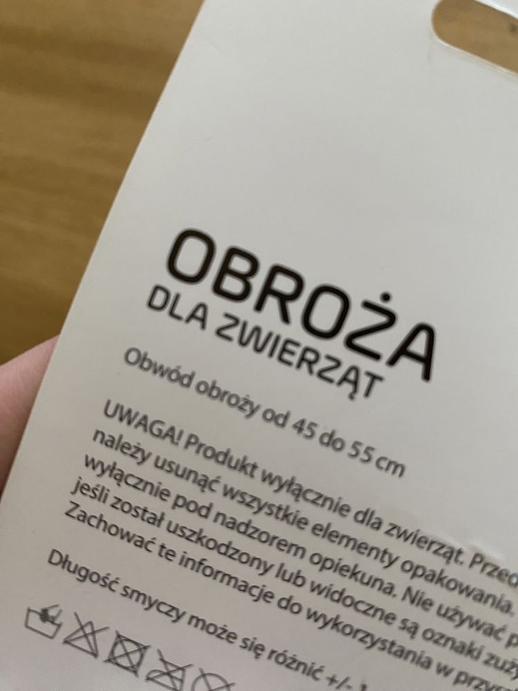 Nowa obroża dla psa