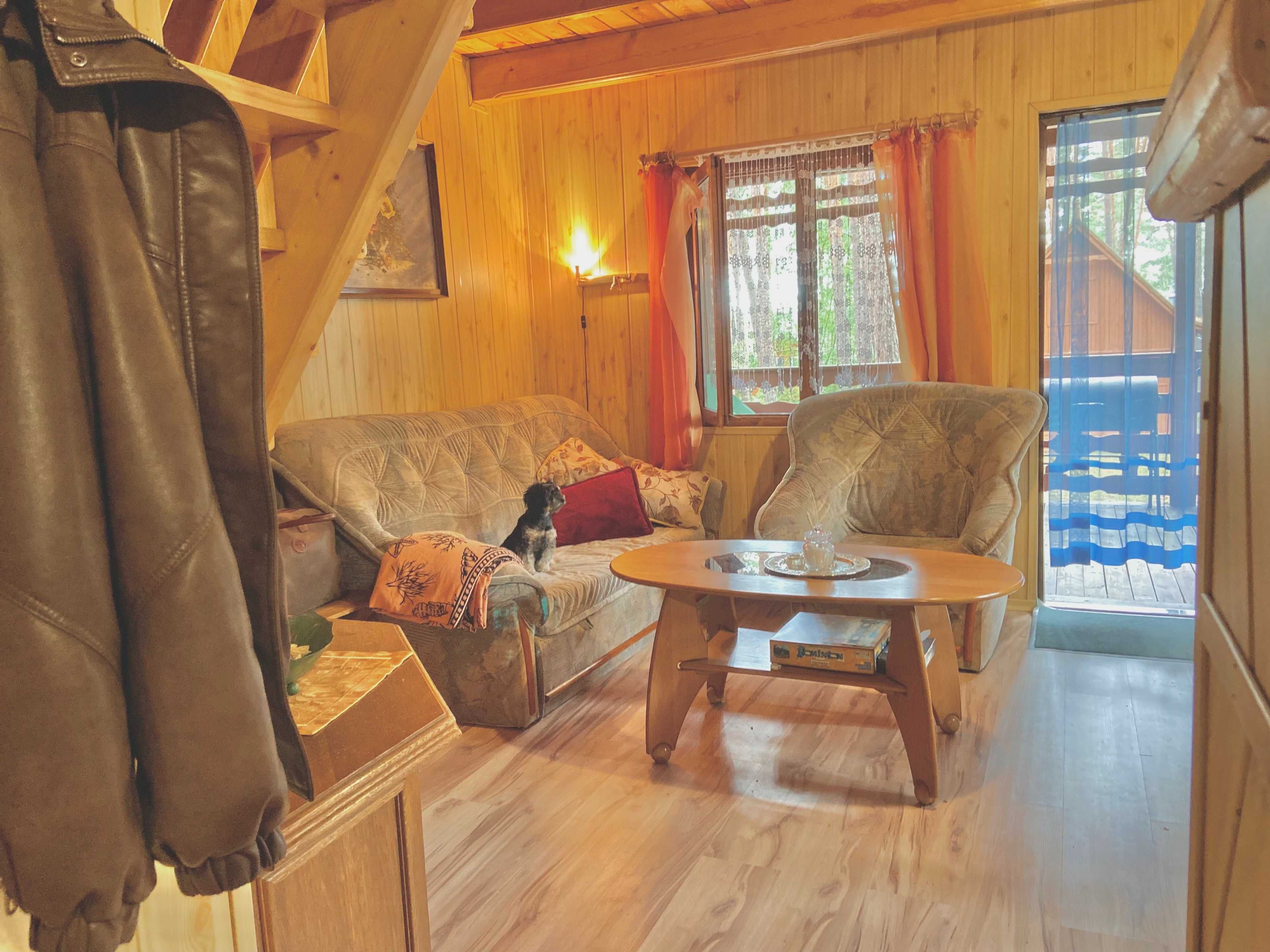 Uroczy domek w sercu lasu nad jeziorem Partęczyny, Warmia - Mazury