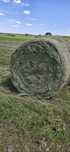 Siano 120x120 suche