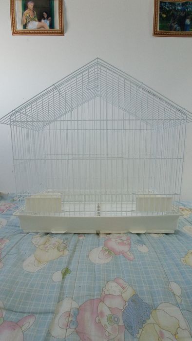 Gaiola em excelentes condições
