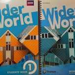 Wider world, Family and friends, Close up, English plus, Beehive