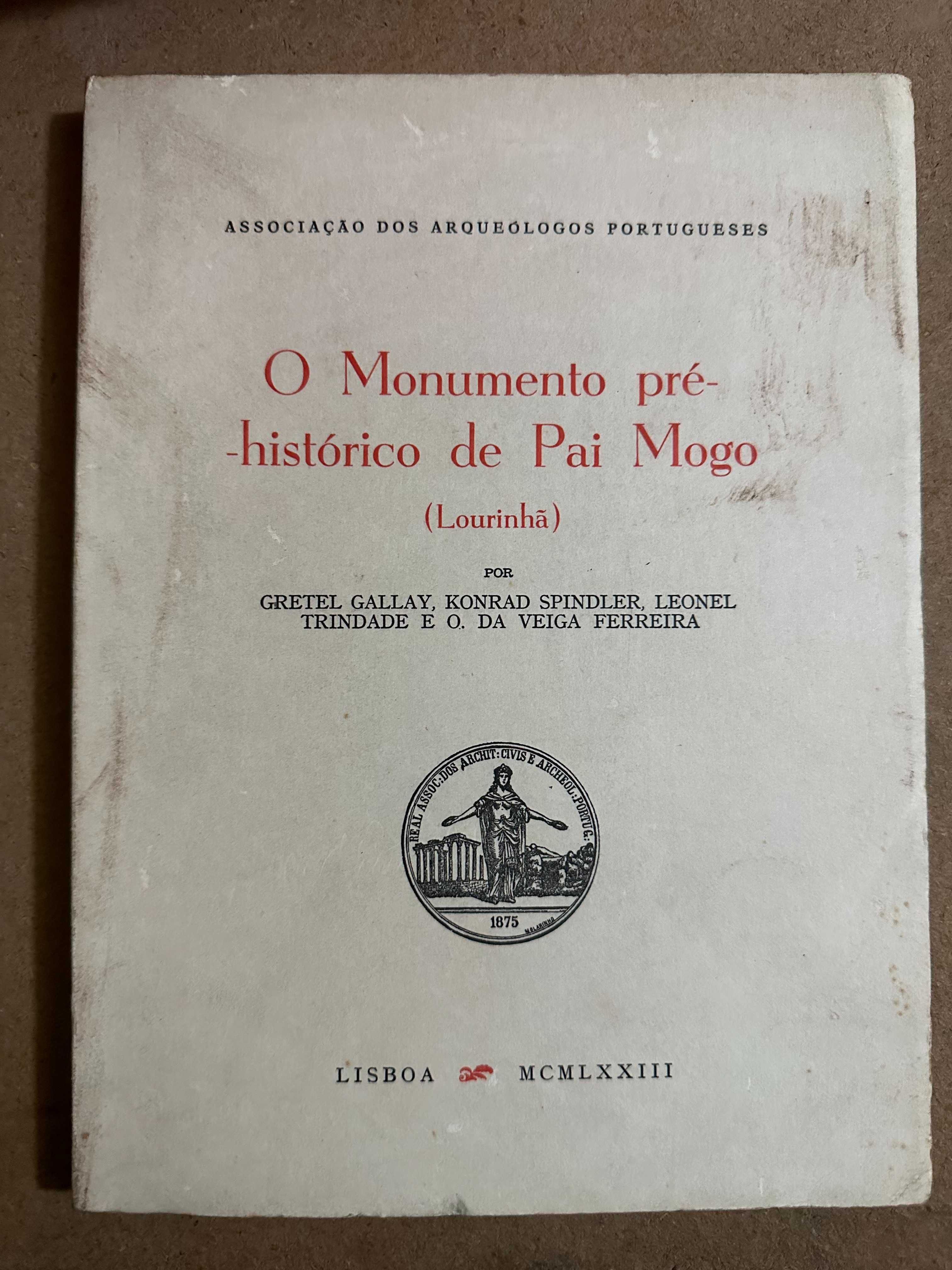 O Monumento pré-histórico de Pai Mogo