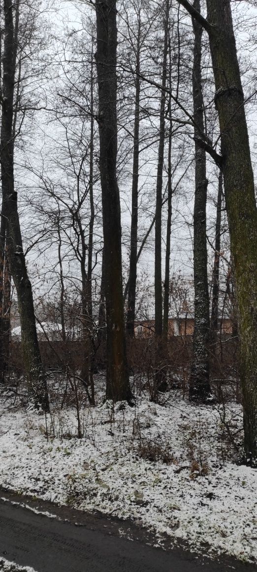 Земельна ділянка 16 соток в лісі с. Проців під будівництво