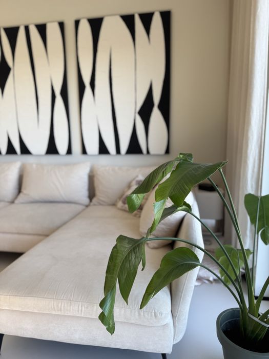 WYPRANA Rogówka narożnik sofa beżowa funkcja spania selsey pojemnik