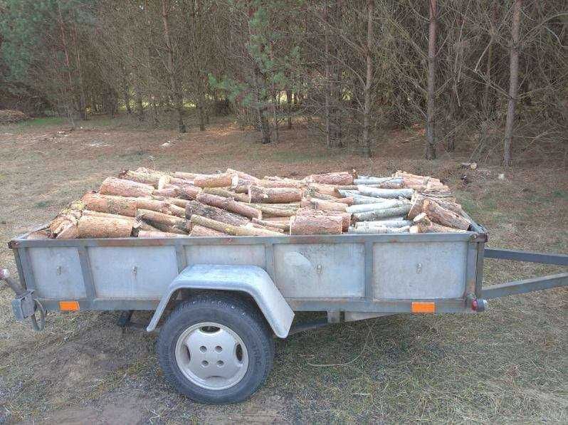 Drewno opałowe sosna