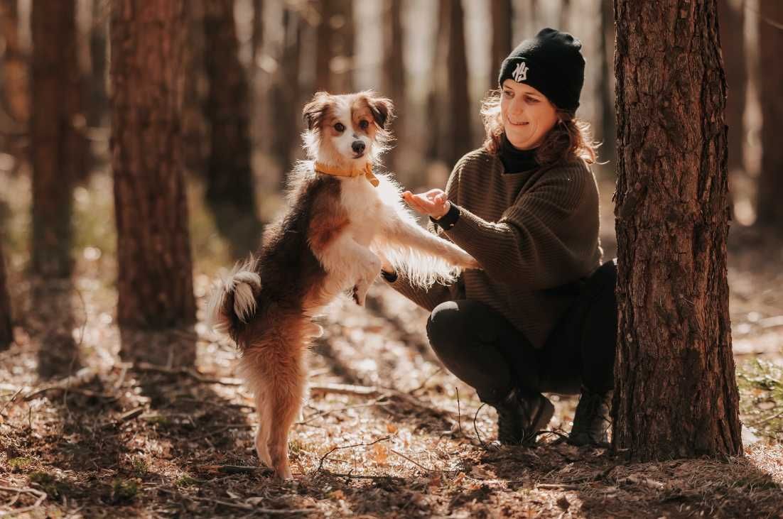 Życie Dropsika zaczęło się od trudu, bólu i strachu... Dasz mu szansę?