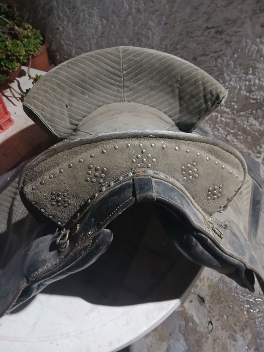 Sela  portuguesa  razoavel