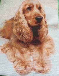 Haft diamentowy Cocker Spaniel Angielski