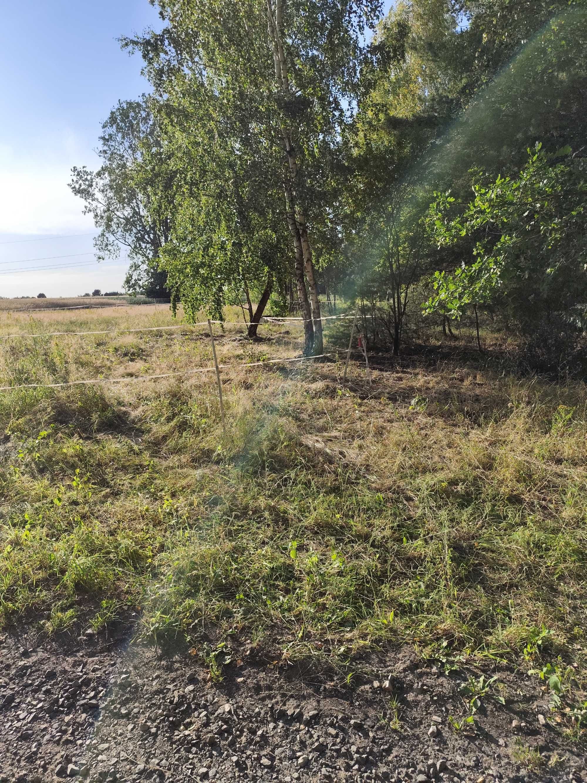 Działka Wola Załężna, 60 zł do negocjacji