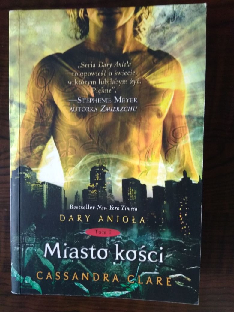 Książka Miasto kości