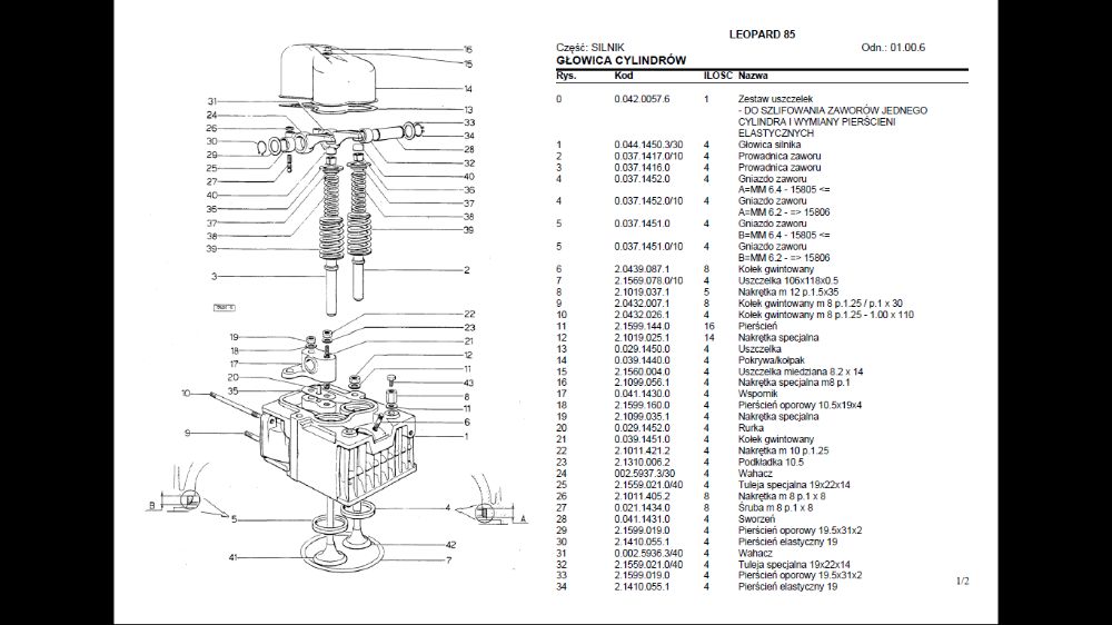 SAME Explorer 55,60,65c,70,75,80,falcon 50 KATALOG CZĘŚCI po PL