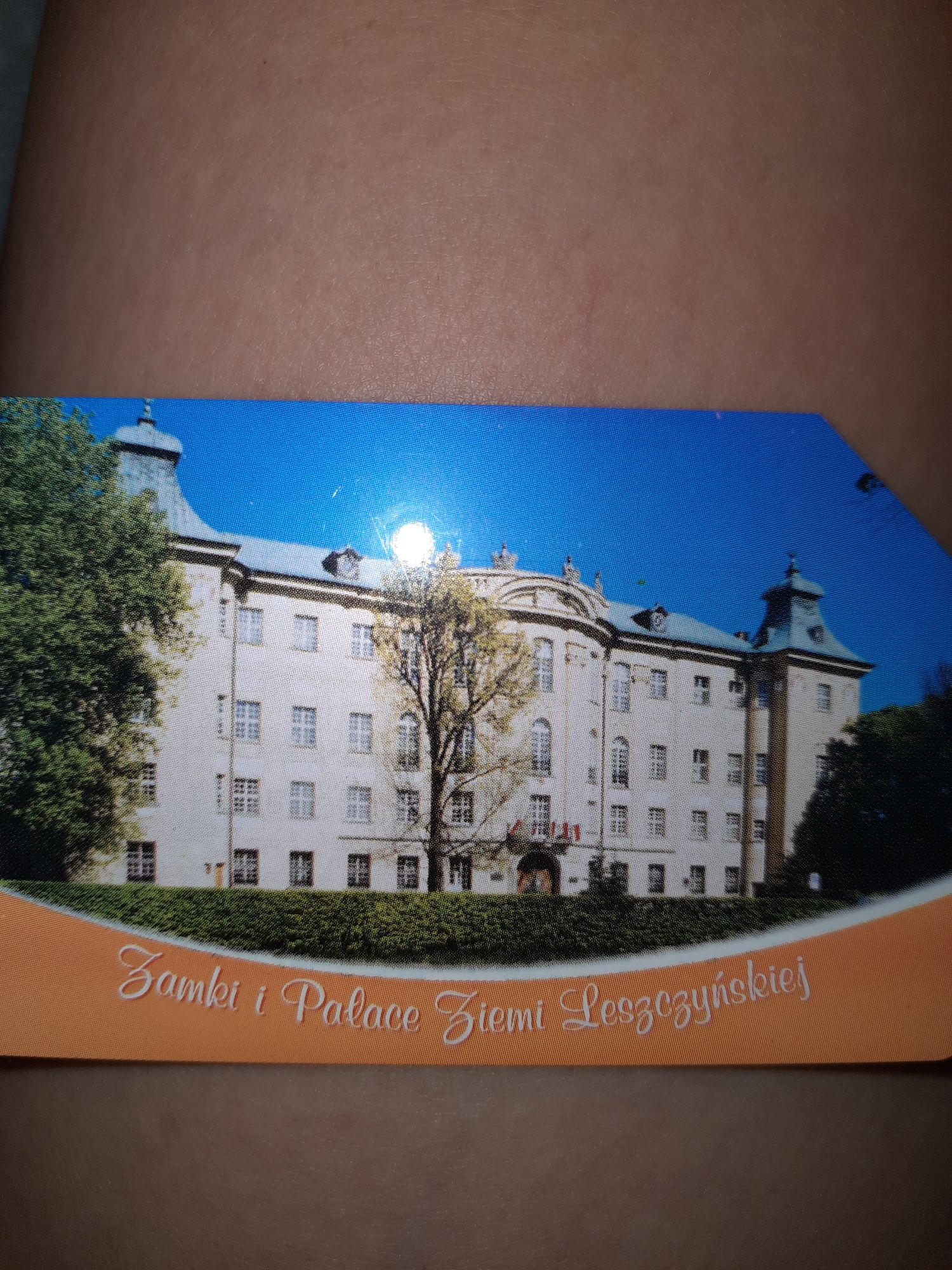 Karta telefoniczna Pałace i zamki Ziemi Leszczyńskiej