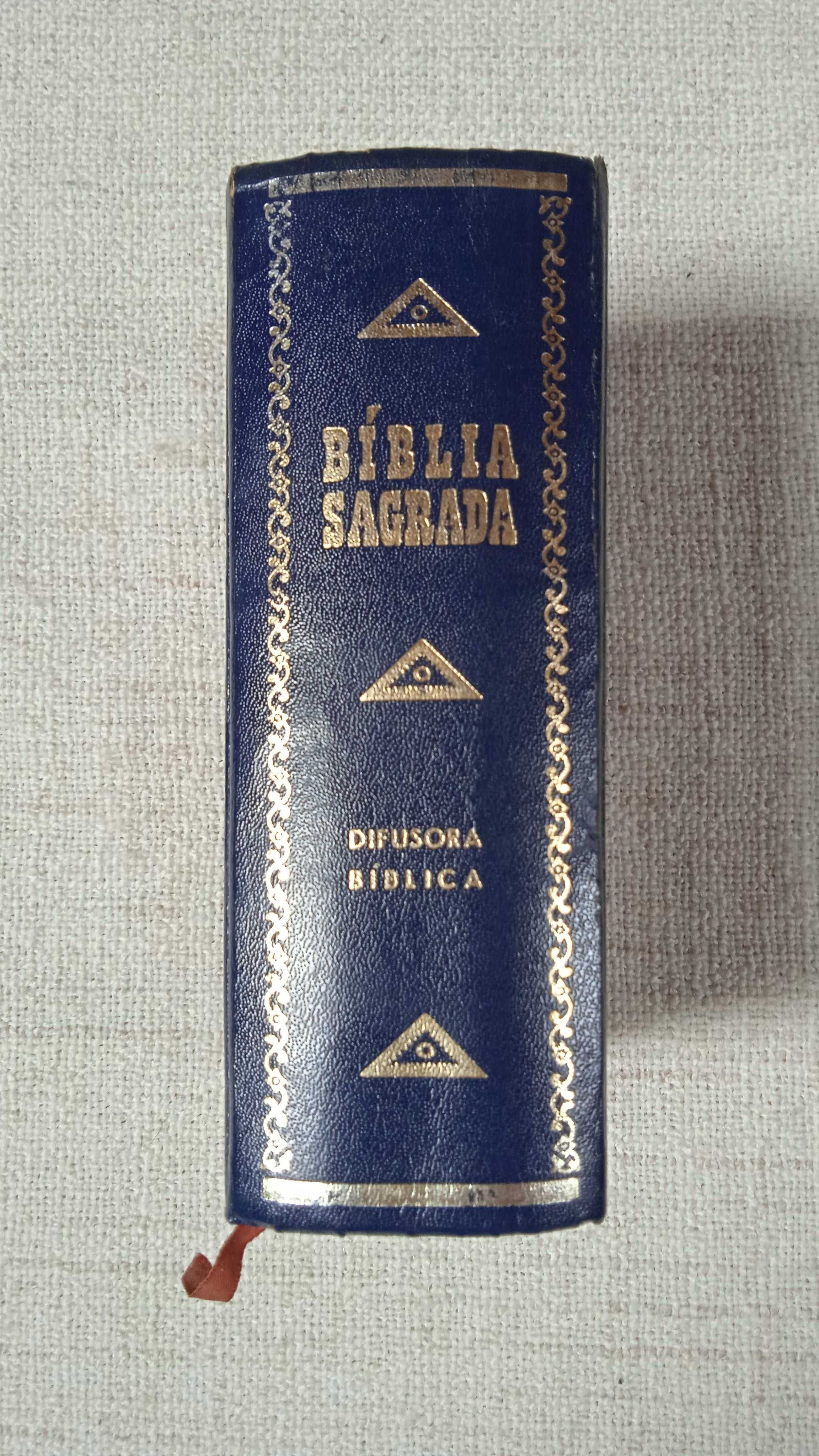 Biblia Sagrada de 1964