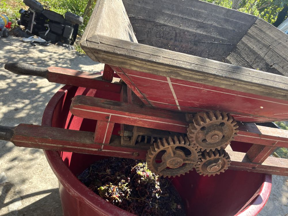 Vendo relador de uvas