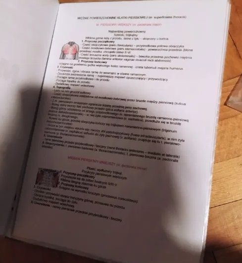 Notatki o Mięśniach (Książka do Notatki dla Technik Masażysta z Fizjot