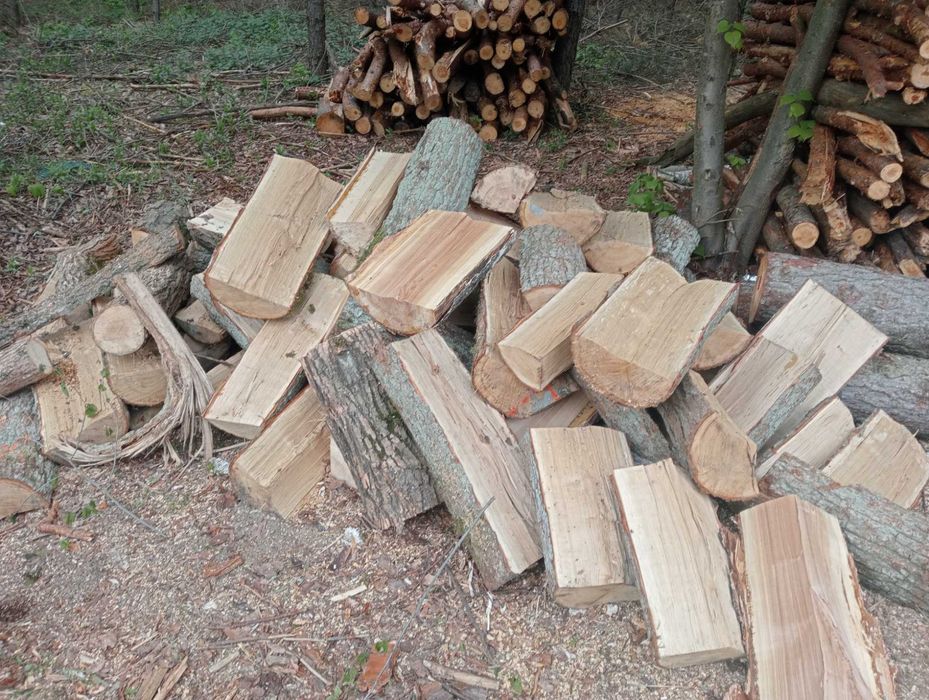 Sprzedam drewno opałowe i kominkowe oraz inne usługi.