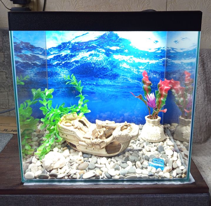 Аквариум 40 л.полный комплект