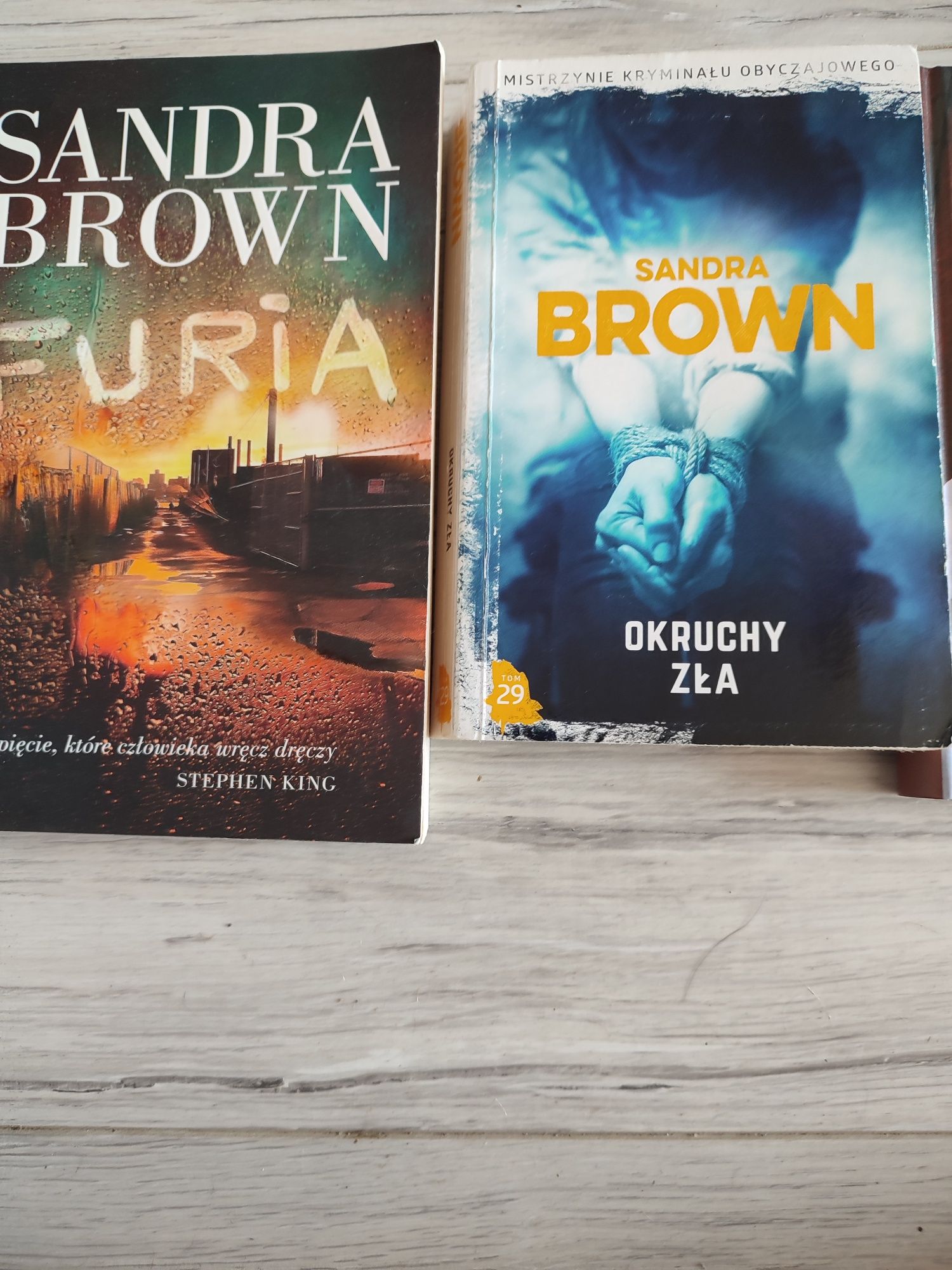 Brown Sandra  Furia- Okruchy zła- W objęciach chłodu.