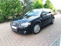 Audi A3 Audi A3 8P 1.9 TDI (bez DPF)