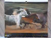 Настінний календар з 12 фото коней