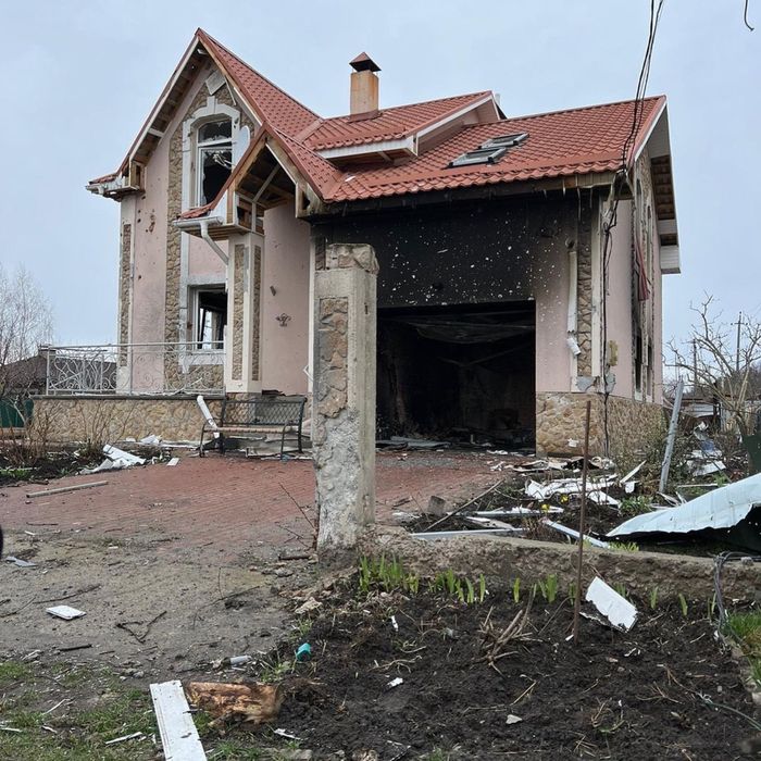 Кот, который выжил после обстрела ищет семью!