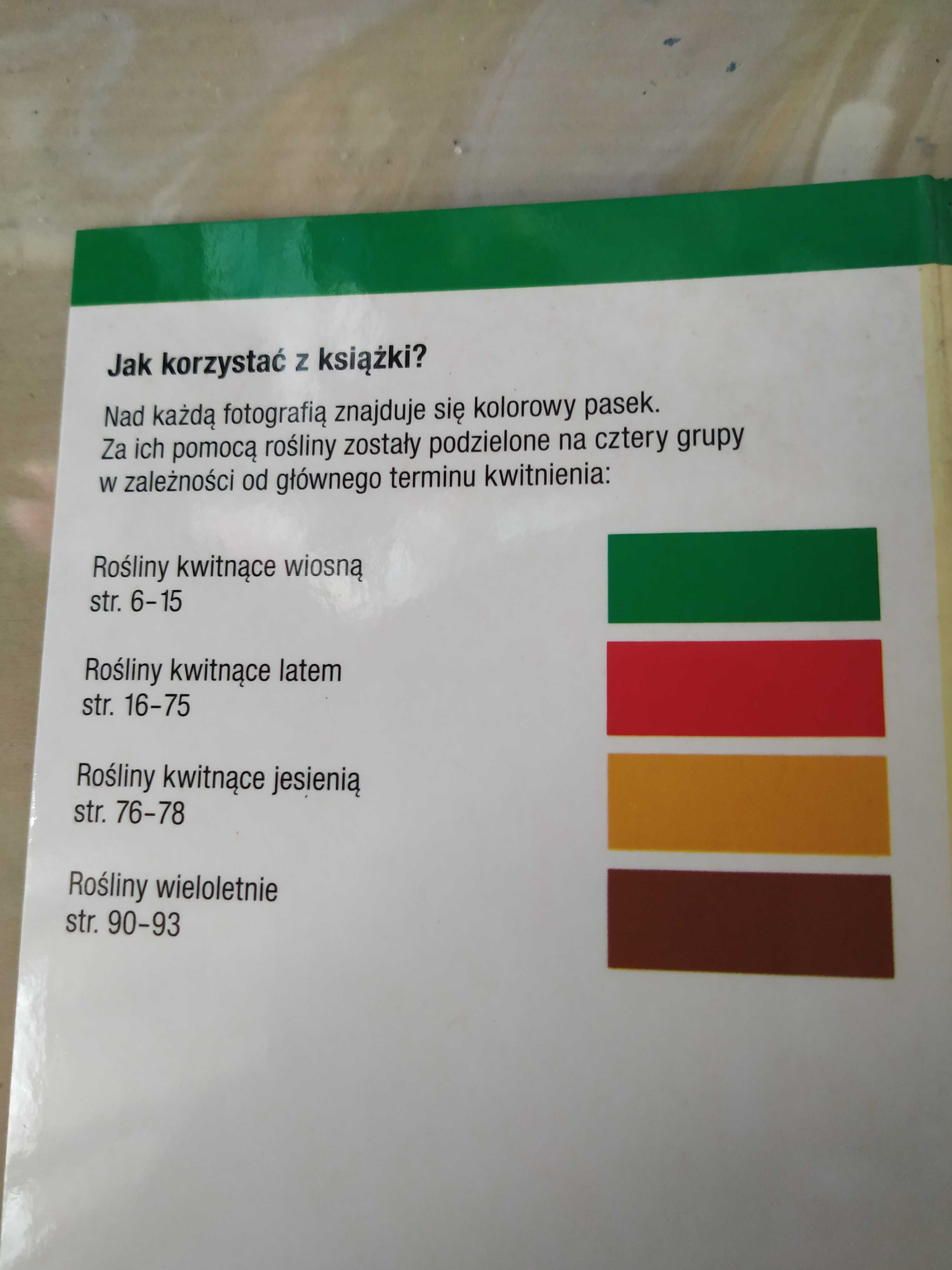 Rośliny balkonowe – przewodnik kieszonkowy – Ernst Deiser