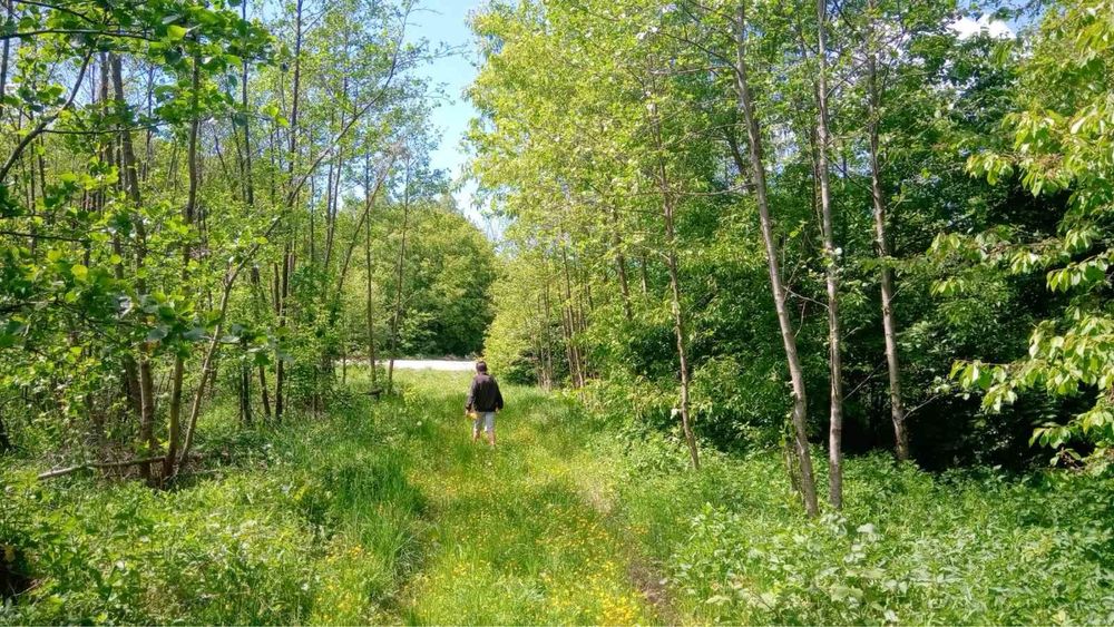 Ділянка 60 соток під ОСГ, с. Селец