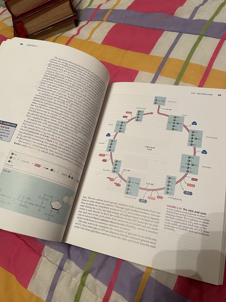 The Cell: A Molecular Approach