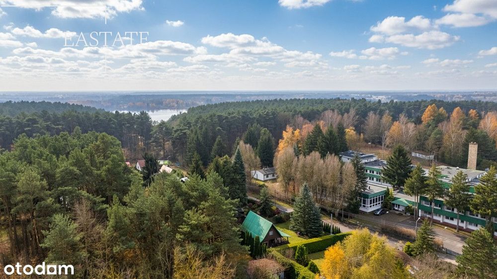 Drewniany dom z ogrodem i basenem, Jachranka