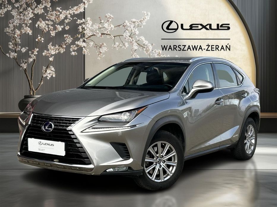 Lexus NX 300h Elegance AWD / FV 23% / Salon PL / Serwis ASO / Gwarancja